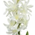 Floristik21 Künstliche Hyazinthe mit Zwiebel Kunstblume Weiß zum Stecken 29cm