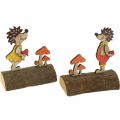 Floristik21 Igel mit Pilzen Herbstfigur Holzigel Gelb/Orange H11cm 6er-Set