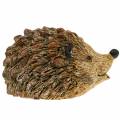 Floristik21 Dekofigur Igel Natur 6,5cm