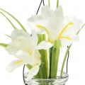 Floristik21 Schwertlilie Weiß im Glas zum Hängen H21,5cm