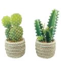 Floristik21 Kaktus im Topf Kaktus künstlich Sortiert 28cm 2St