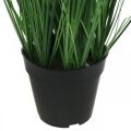Floristik21 Riedgras im Topf mit Ähren künstlich Carex Kunstpflanze 98cm