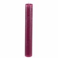 Floristik21 Kerzen Durchgefärbt in Berry Stabkerzen 34x240mm 4 St