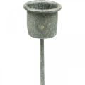 Floristik21 Kerzenhalter zum Stecken Shabby Chic Grau Ø3cm H8,5cm 8 St