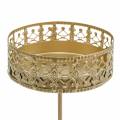 Floristik21 Florale Kerzenhalter zum Stecken Golden Ø7,4cm H12,5cm 4 St Antik-Optik