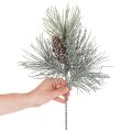 Künstlicher Kiefernzweig mit Zapfen 40cm Grün-Braun-Weiß | Floristik21.de