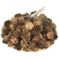 Kiefernzapfen Natur Deko 300g natürlich rustikal Herbst Weihnachten Advent | Floristik21.de