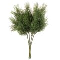 Künstlicher Kiefernzweig aus Kunststoff 40cm grün 4er-Set | Floristik21.de