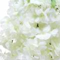 Floristik21 Kirschblütenzweig mit 5 Ästen Weiß künstlich 75cm