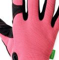 Floristik21 Kixx Synthetik Handschuhe Gr.8 Rosa, Schwarz