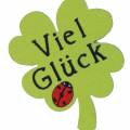 Floristik21 Kleeblatt „Viel Glück" Holzdeko zum Kleben Grün 3,5cm 45St