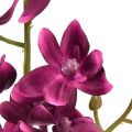 Floristik21 Kleine Orchidee Phalaenopsis Künstliche Blume Fuchisa 30cm