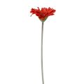 Floristik21 Künstliche Blumen Gerbera Rot 45cm