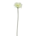 Floristik21 Künstliche Blumen Gerbera Weiß 45cm