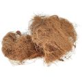 Floristik21 Kokosfaser Natur Pflanzenfaser Naturfaser Bastelmaterial 1kg
