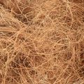 Kokosfaser Natur Pflanzenfaser Naturfaser Bastelmaterial 1kg | Floristik21.de