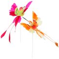 Floristik21 Kolibri am Draht zum Stecken Pink, Orange 17cm 6St