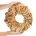 Baumschwamm-Kranz naturfarben Ø 37cm für Tür- und Wanddekoration | Floristik21.de