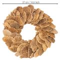 Baumschwamm-Kranz naturfarben Ø 37cm für Tür- und Wanddekoration | Floristik21.de