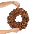 Landlotus Türkranz aus Naturmaterial Ø 35 cm Braun | Floristik21.de
