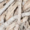 Kranz aus Holz und Rindenfasern Ø 40 cm geweißte Oberfläche für Innenbereich | Floristik21.de