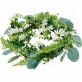 Floristik21 Künstlicher Eukalyptus-Kranz mit Farn, Kapmargeriten und Jasmin, Türkranz, Deko Kranz, Tischdeko