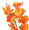 Floristik21 Künstliche Orchidee Mokara Orange 50cm 6St