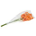 Floristik21 Künstliche Orchidee Mokara Orange 50cm 6St