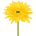 Floristik21 Künstliche Blumen Gerbera Sonnengelb Gartenblume 47cm 6St