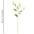 Künstlicher Gloriosa Blütenzweig 80cm Weiß Gelb Kunststoff Stoff 3 Stk | Floristik21.de