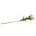 Floristik21 Künstliche Lilie Pink Real Touch 100cm