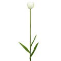 Floristik21 Künstliche Tulpen Weiß-Grün 86cm 3St