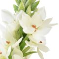 Floristik21 Künstliche Blume Milchstern Weiß 50cm