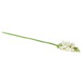 Floristik21 Künstliche Blume Milchstern Weiß 50cm