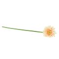 Floristik21 Künstliche Blumen Gerbera Apricot 47cm
