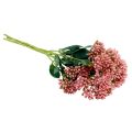 Floristik21 Künstliche Fette Henne Sedum Mauerpfeffer blühend Rosa 47cm 3St