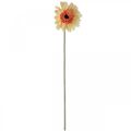 Floristik21 Künstliche Gerbera Blume Kunstblume Apricot Ø11cm L50cm
