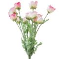Floristik21 Künstliche Mohnblumen Deko Seidenblumen Rosa Pink 42cm 4St