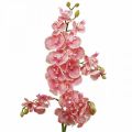 Floristik21 Künstliche Orchideen Deko Kunstblume Orchidee Rosa 71cm