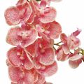 Floristik21 Künstliche Orchideen Deko Kunstblume Orchidee Rosa 71cm
