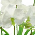 Floristik21 Künstliche Orchideen Kunstblumen im Topf Weiß 60cm