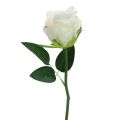 Floristik21 Künstliche Rosen im Bund Weiß 30cm 8St