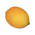 Floristik21 Künstliche Zitrone Deko Lebensmittelattrappen Orange 8,5cm