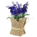 Floristik21 Künstlicher Lavendel Kunstblume Lavendel im Jutesack Weiß/Lila/Blau 17cm 5St