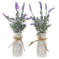 Floristik21 Künstlicher Lavendel Kunstpflanze Lavendel in Milchflasche 32cm 2St