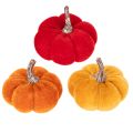 Floristik21 Deko Mini-Kürbisse aus Samt, 5 cm, 3 Farben, 12 Stück