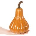 Kürbis Keramik 26cm Orange für Innenbereich | Floristik21.de