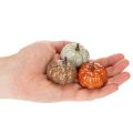 Mini Kürbisse aus Kunststoff 4 cm 24 Stück Herbstfarben für Innenbereiche | Floristik21.de
