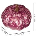 Mini Kürbisse aus Kunststoff 4 cm 24 Stück Herbstfarben für Innenbereiche | Floristik21.de