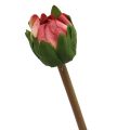 Floristik21 Kunstblume Dahlie Pink Blüte mit Knospe H57cm